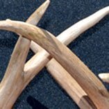 Antler Furniture