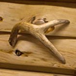 Antler Decor