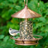 Bird Feeders