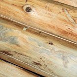 Cedar Furniture