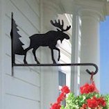 Plant Stands & Hangers