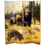 Room Dividers